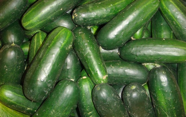 Cucumbers