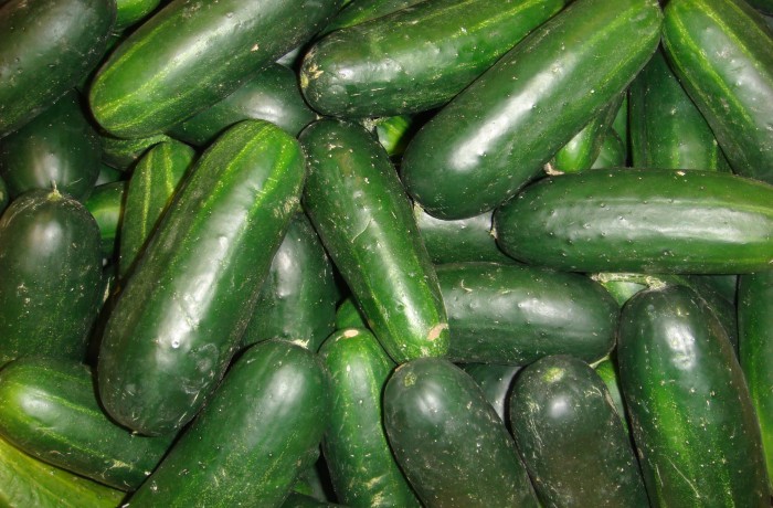 Cucumbers