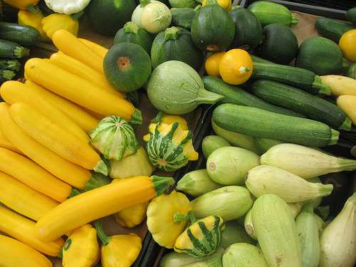 Summer Squash